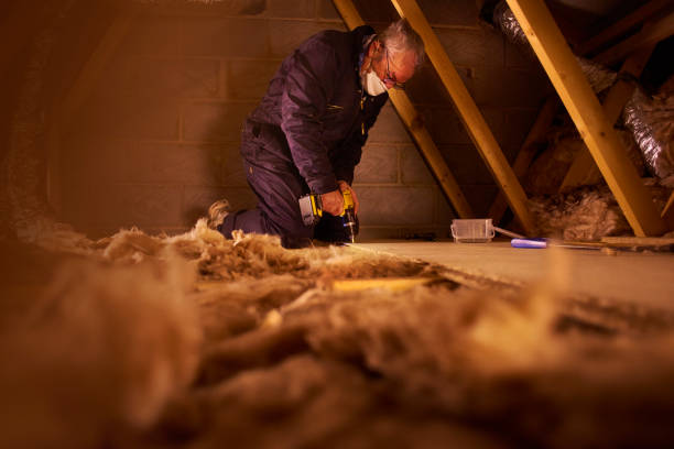 Best Insulation Maintenance and Repair in Lyman, WY
